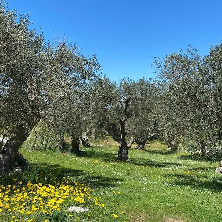 Trullo Mastricale - Trullo Con Piscina Privata Gospodarstwo wiejskie *